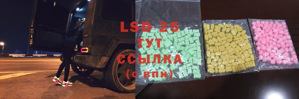 молекула духа Богородицк