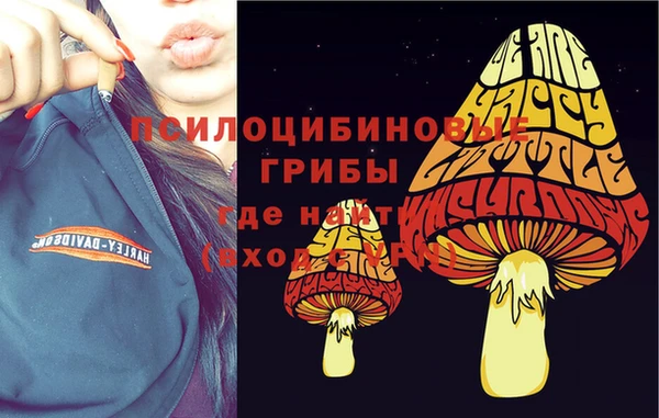 первитин Бронницы
