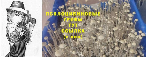 а пвп мука Бугульма