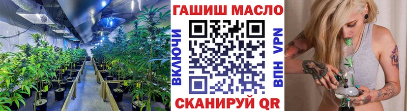 ТГК гашишное масло  где найти   Демидов 