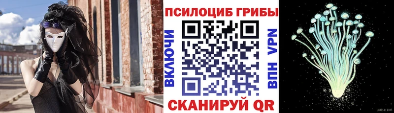 Псилоцибиновые грибы прущие грибы  купить наркотики сайты  Демидов 